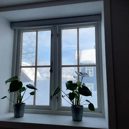 Apartamento Studioapartment In Centrum *